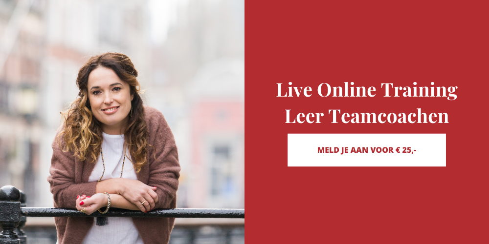 Live Online Training Leer Teamcoachen